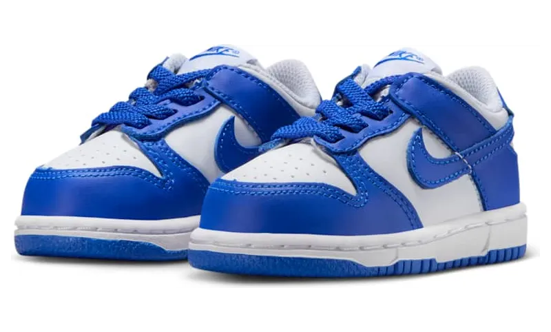 nike-dunk FB9107-131