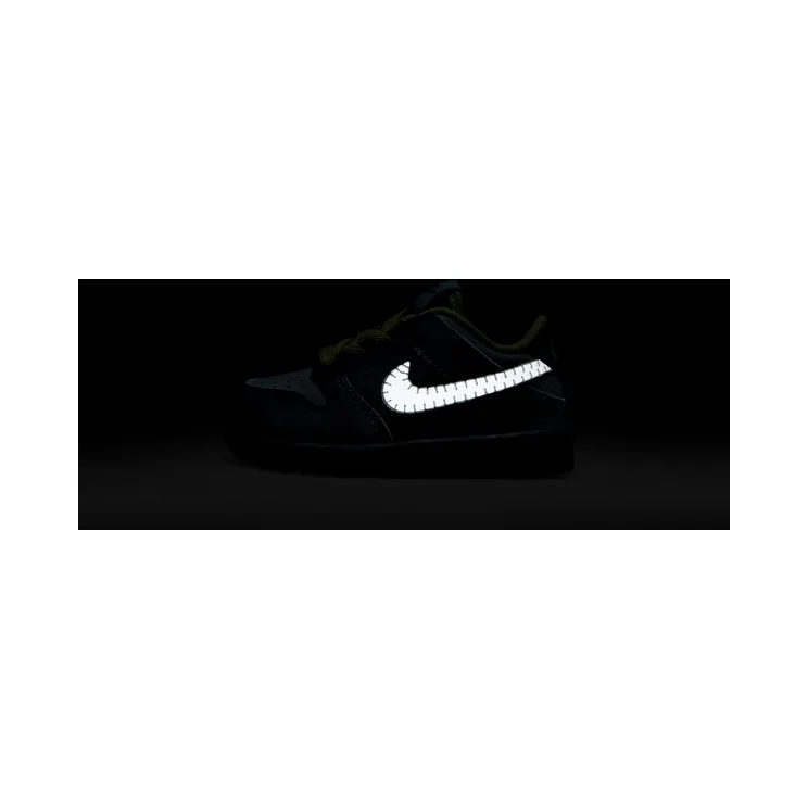 nike-dunk FQ8358-491