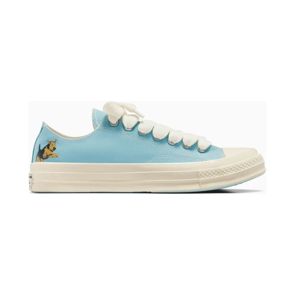 Converse Converse x GOLF le FLEUR* Darryl Chuck 70 (A11678C)