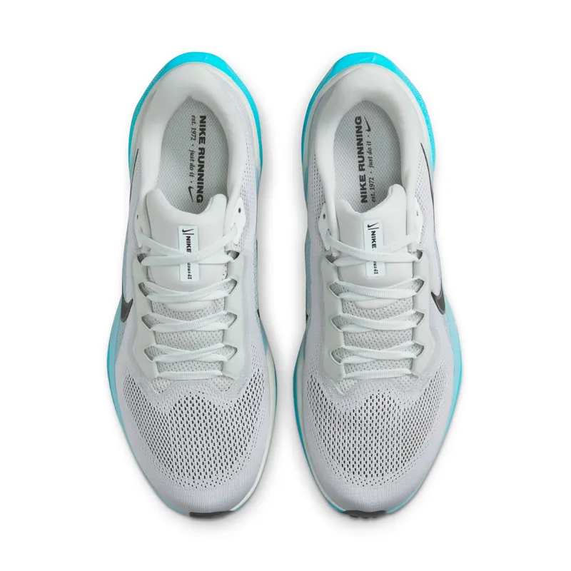 Nike Air Zoom Pegasus 41 Light Silver Denim Turquoise Dusty Cactus Black (FD2722-012)