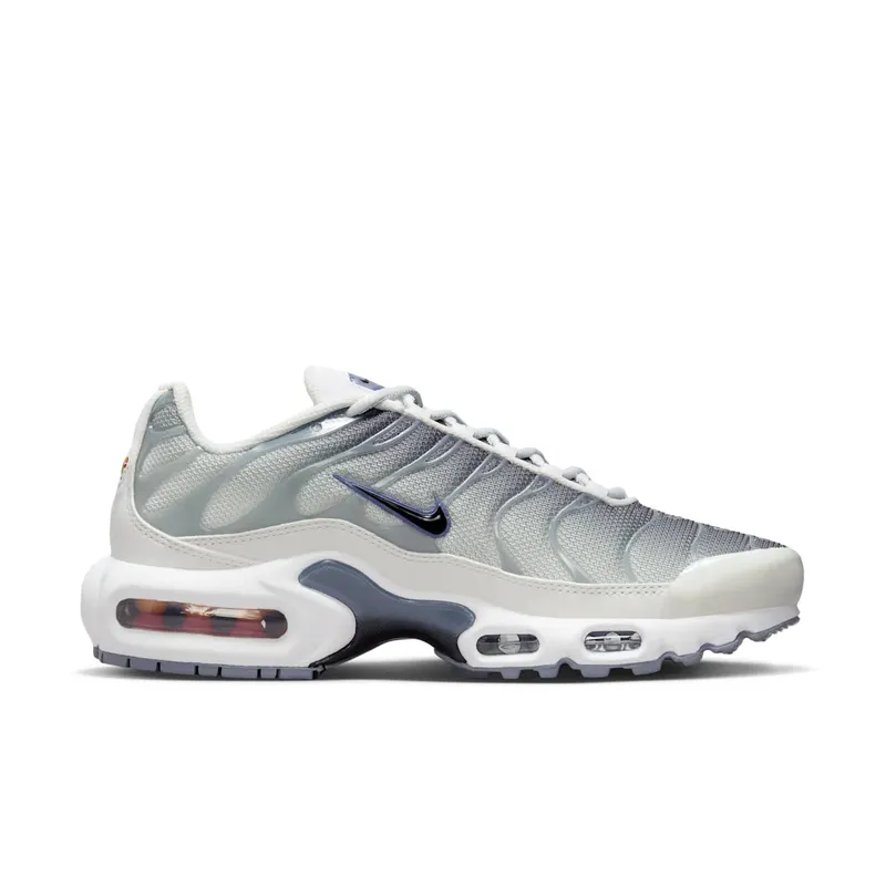 Nike Air Max Plus Smoke Grey Ashen Slate (FQ2892-100)