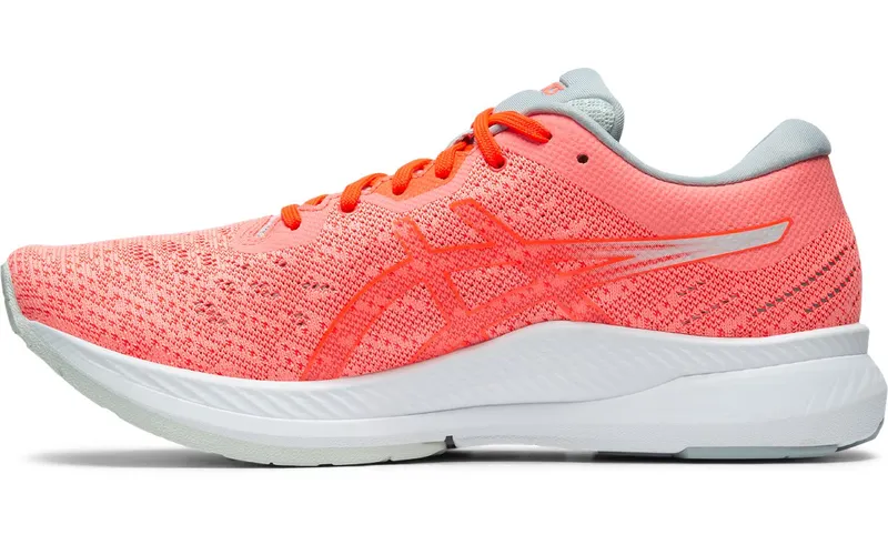ASICS Evoride (1012A677-700)