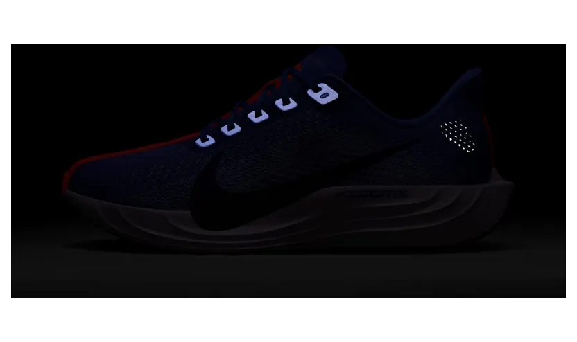 nike-air-pegasus FQ7261-503