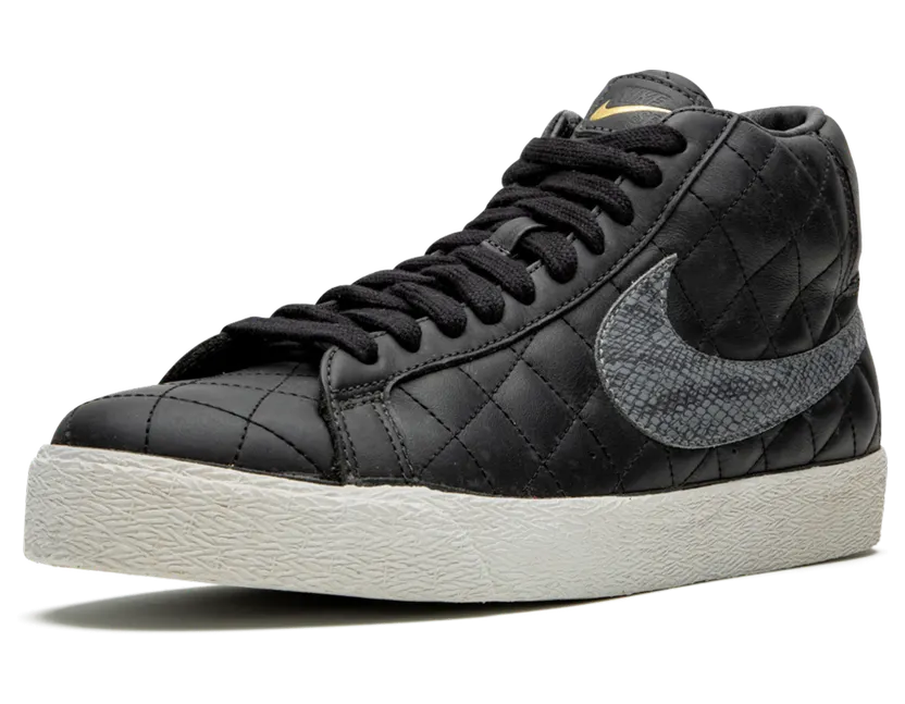 nike-sb 313962-001