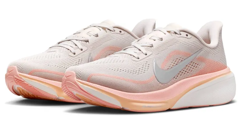 nike-air-pegasus IB1881-002