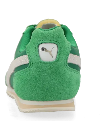 puma-arizona 398682_03