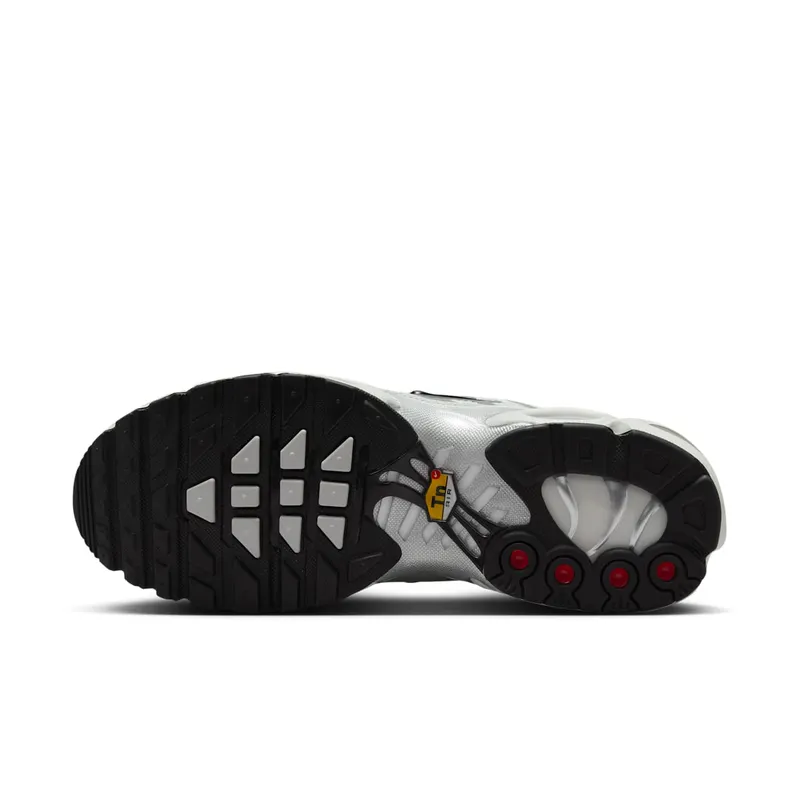 Nike Air Max Plus “Light Silver” (FV8480-002)
