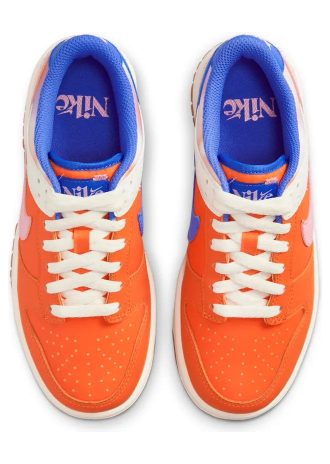 nike-dunk FN0600-801