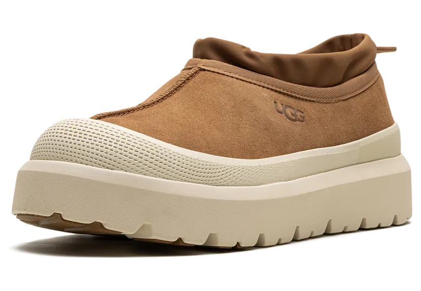 ugg-tasman 1144096-CWTC