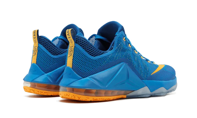 Nike Lebron 12 Low “Entourage” (724557-484)
