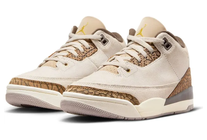 air-jordan-3 DM0966-102