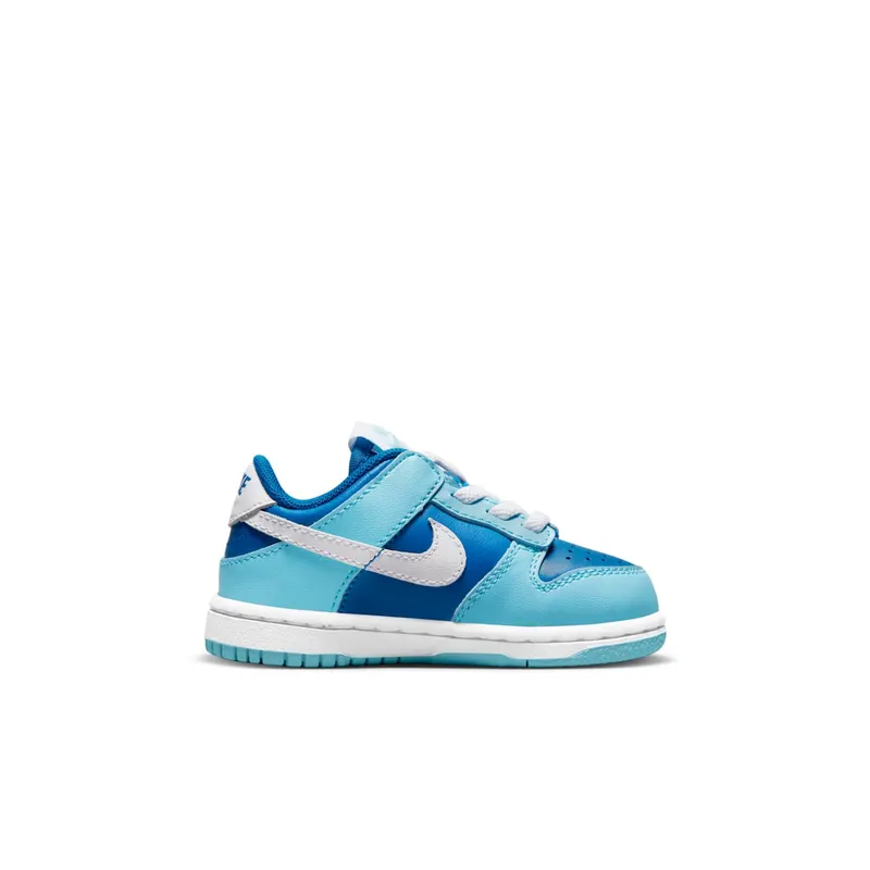 Nike Dunk Low Retro QS TDE “Argon TD” (DV2634-400)