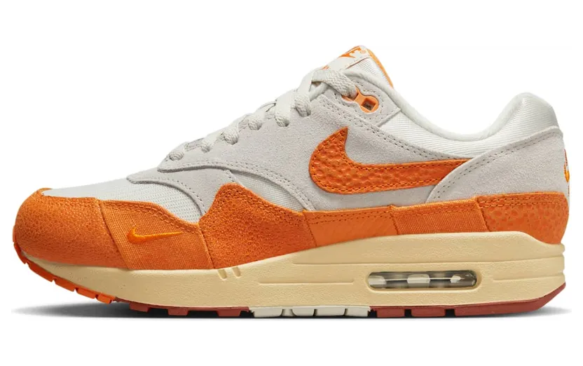 Nike Air Max 1 DZ4709-001