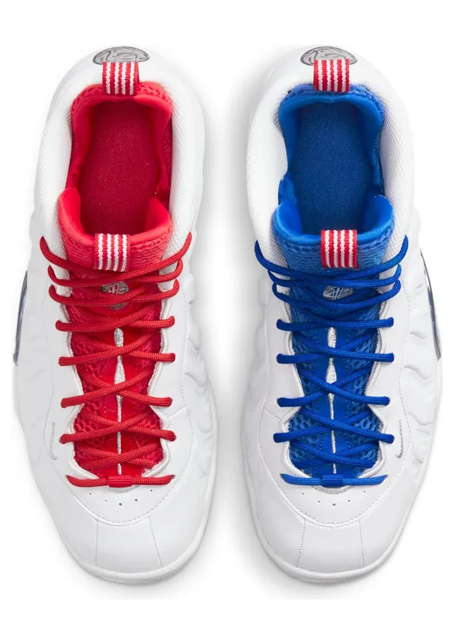 nike-little-posite DJ4024-001