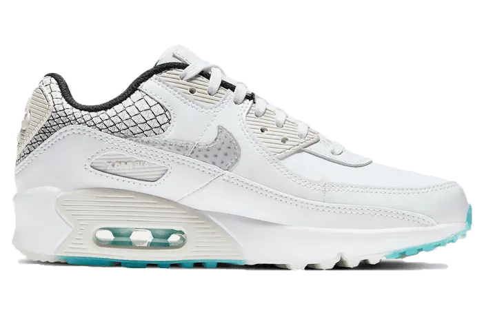 Nike Air Max 90 Netted Heel (DB4187-100)