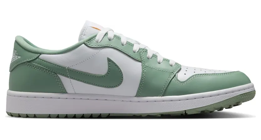 air-jordan-1 DD9315-008