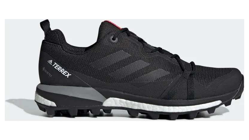 adidas Terrex Skychaser LT GORE-TEX Hiking Carbon / Core Black / Active Pink (F36119)