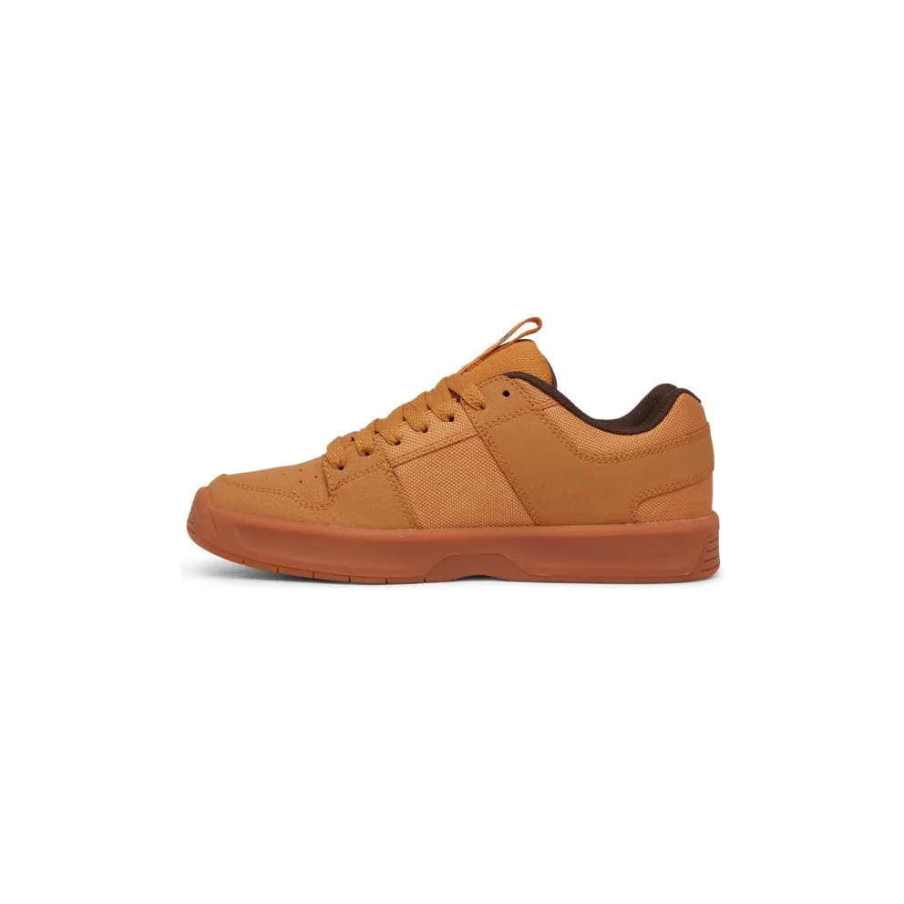 DC Lynx Zero Brown (ADYS100615bww)