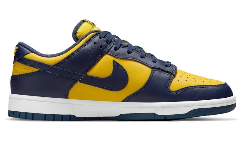 nike-dunk DD1391-700