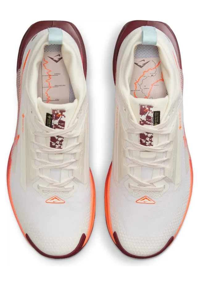 nike-air-pegasus FQ0912-104