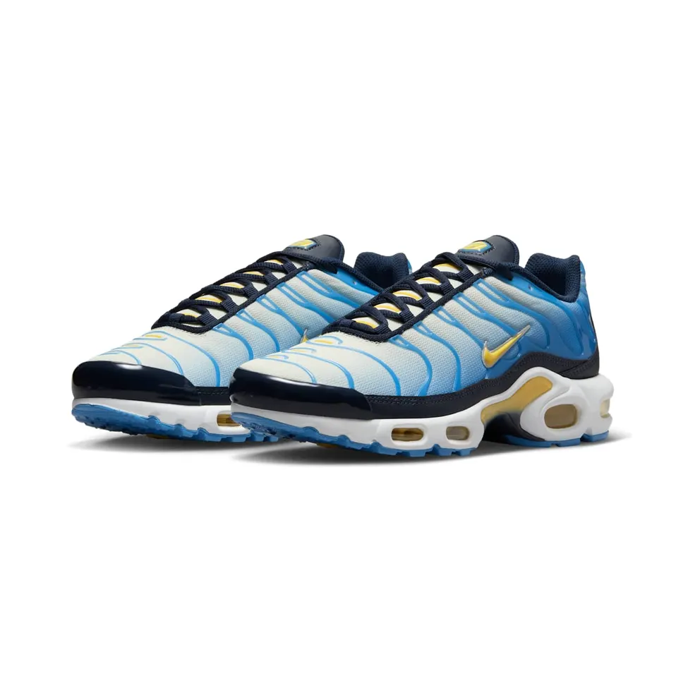 Nike Air Max Plus University Blue Topaz Gold (FD9871-400)