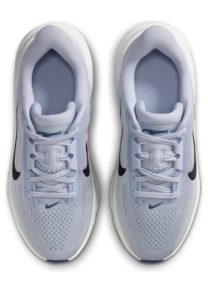 nike-air-pegasus IH2306-004