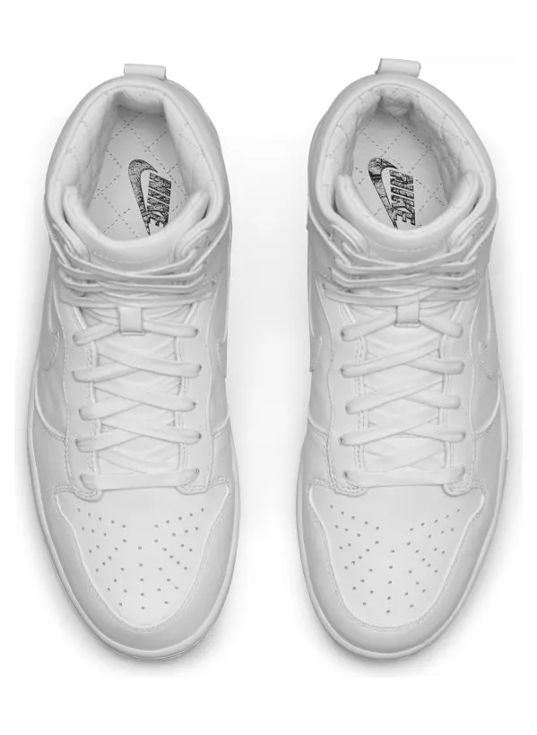 nike-dunk 718790-101