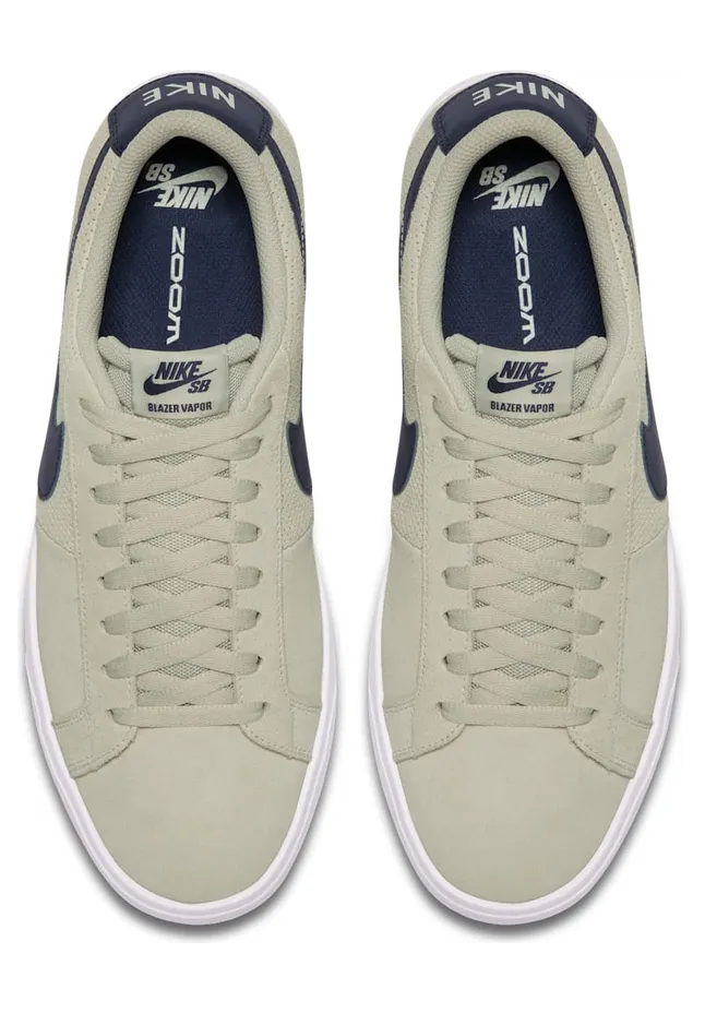 nike-sb 878365-141