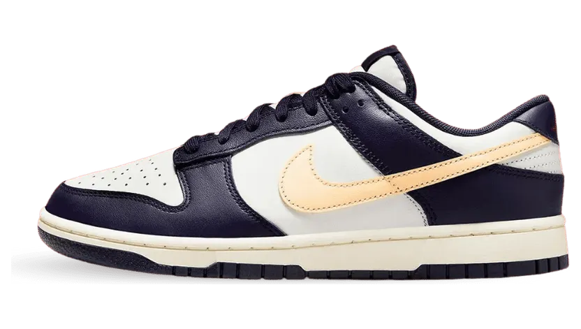 nike-dunk FV8106-181