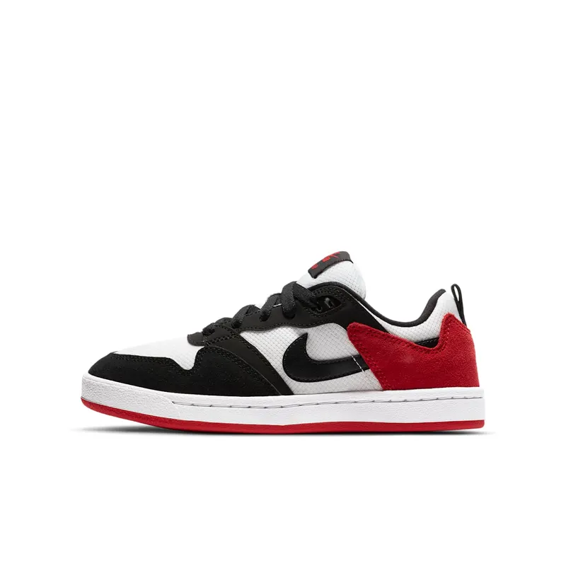 Nike SB Alleyoop (GS) (CJ0883-102)