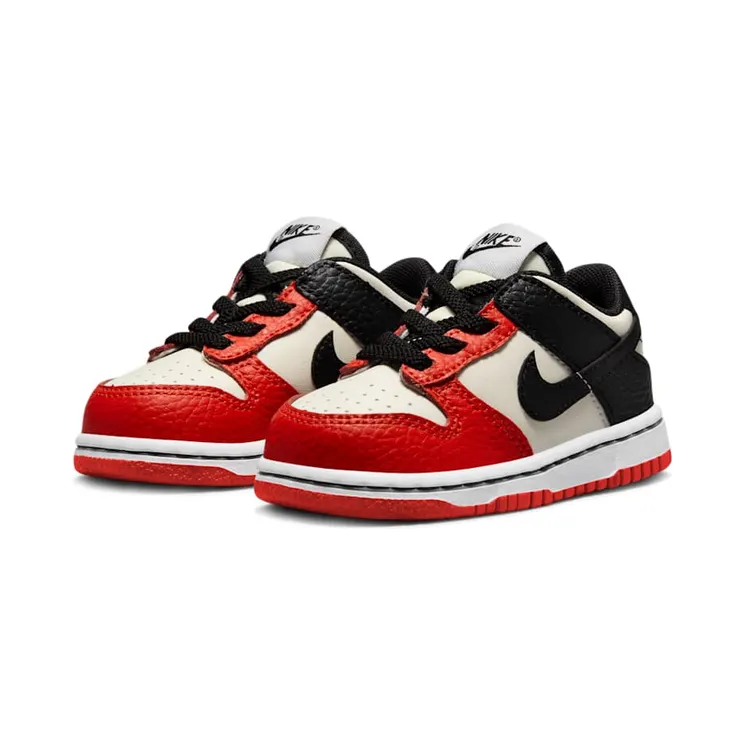 nike-dunk DC9562-100
