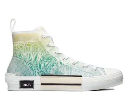 Dior And Shawn B23 High Top