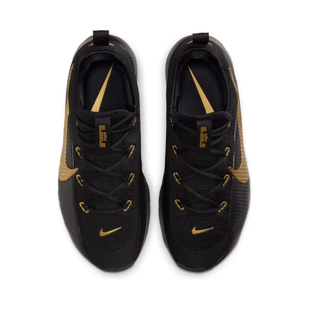 Nike LeBron TR 1 Black Metallic Gold (FJ6151-004)