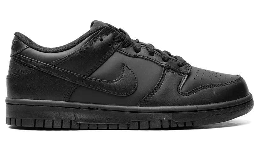 nike-dunk FB9109-009