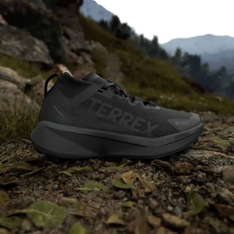 adidas Terrex Agravic GTX Trail Running Core Black Core Black Grey Six (JR5247)