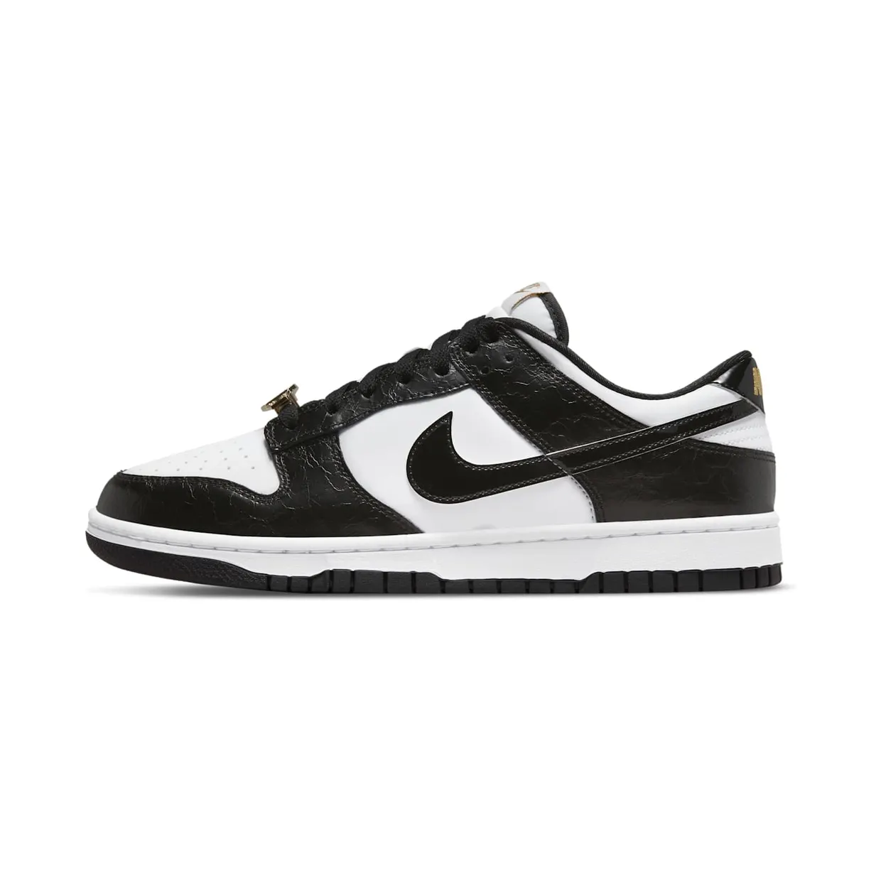 nike-dunk DR9511-100