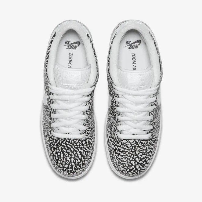 nike-dunk-sb 313170-110
