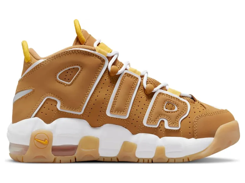 nike-air-more-uptempo DQ4713-700