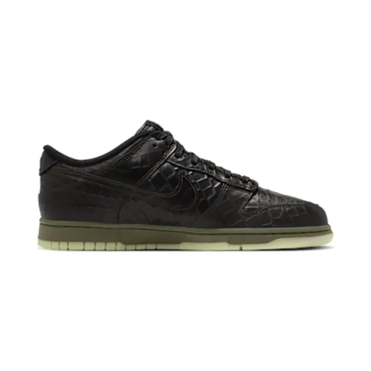 nike-dunk IX5169-300