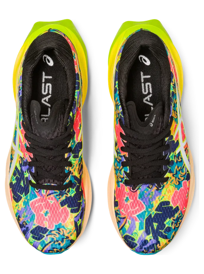 asics-novablast 1012B497.300
