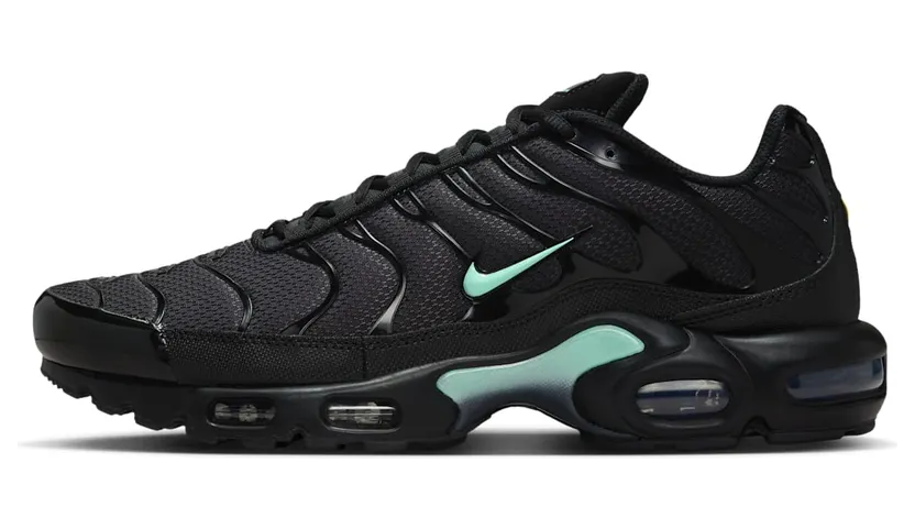 Nike Air Max Plus Black Mint Green (DM0032-029)