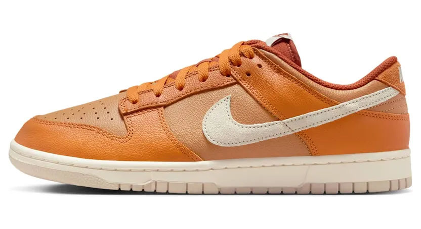 Nike Dunk Low HJ9121-815