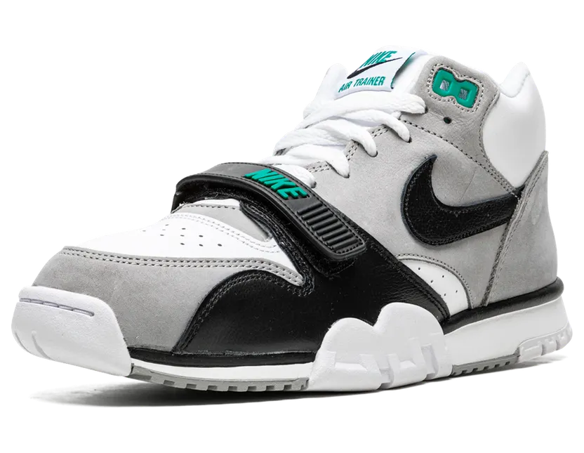 air-jordan-trainer-1 DM0521-100
