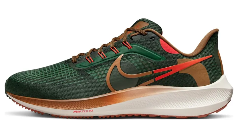 Nike Air Zoom Pegasus 39 A.I.R. Hola Lou (straat) Groen (DO9500-300)