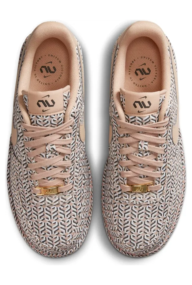 nike-air-force DZ2789-200