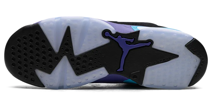 air-jordan-6 384665-004