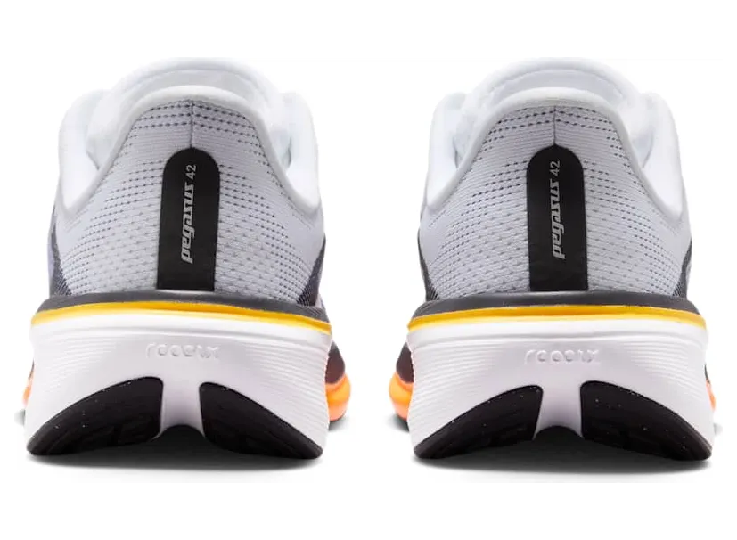 nike-air-pegasus IH2306-100