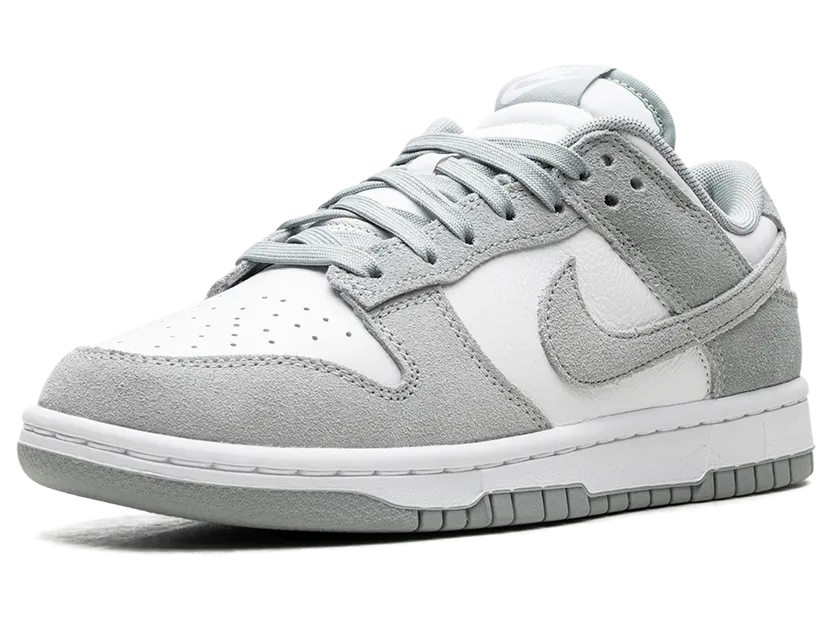 nike-dunk FQ8249-101