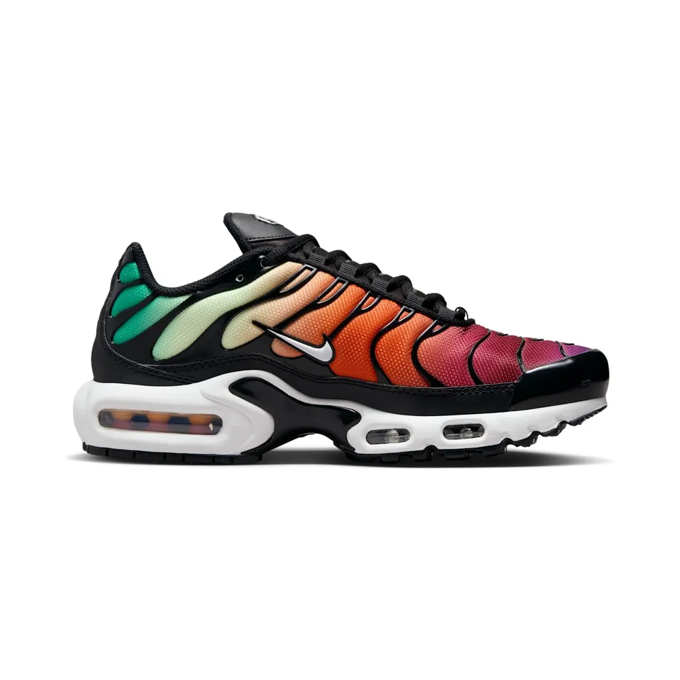 Nike Air Max Plus Rainbow (DZ3670-001)