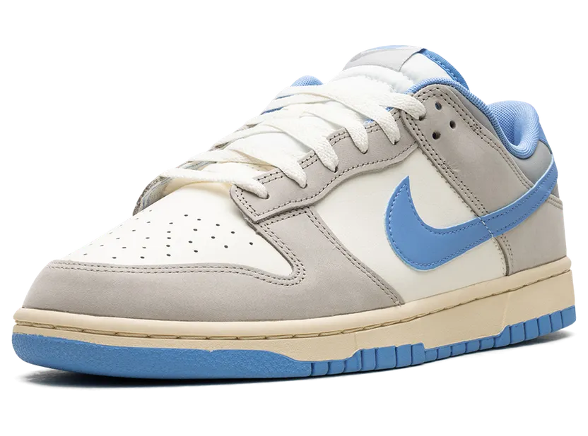 nike-dunk FN7488-133